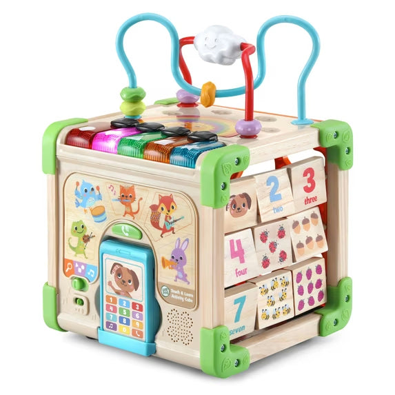 Touch & Learn Wooden Activity Cube